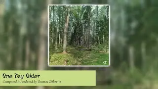 Thomas Zitkevitz | One Day Older (2025) | Full Album