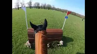 GoPro Dani XC Kentucky Modified, ER visit, NEW HORSE announcement , Injury update!