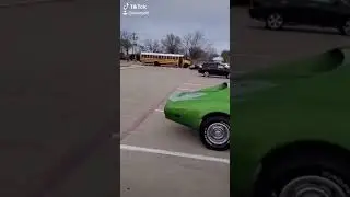 Gamora And the Black Mamba... 2 bad ass c3 corvettes
