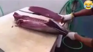 Fast workers-God level. Compilation including the fastest workers in the world.
