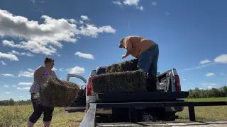 How to Salt hay/salting hay in Northern Maine