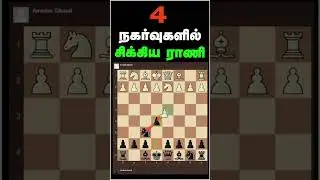 Trap the queen in 4 Moves , Brilliant Knight Sacrifice #chessgame #chesstricks #queen #trap