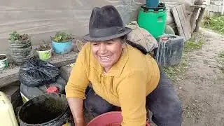 Hortalizas organicas para nuestra salud cero  qu&iacute;micos 