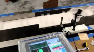 In-Motion Checkweigher Testing Vegetable Steamer Bowls