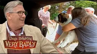 Our Dog Is Keeping Us Prisoner | Dogs Behaving Very Badly