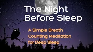 A Simple Breath Counting Meditation for Deep Sleep