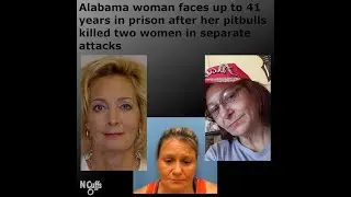 AL woman Brandy Dowdy facing 41 years in prison after pit bulls maul two women to death