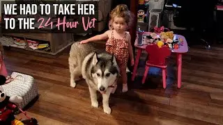 We Had To Take Her To The 24 Hour Vet