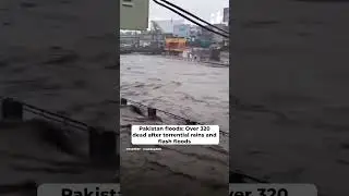 Pakistan floods: Over 320 dead after torrential rains and flash floods