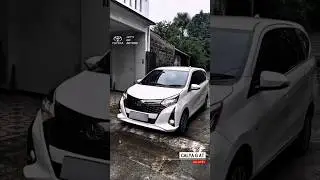 CALYA G MATIC 2025