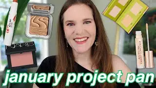 January Project Pan Update: The First Wins & Fails! ✨ ✨