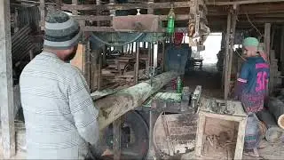 কালেক্টর গাছ কাটা হচ্ছে ৩+২=১৩ ফিট পাইর কাটবো #woodworking #wood #foryou #fyp #youtubeshorts 