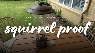 Perky Pet Extra Large 4 Pound Capacity Squirrel Proof Bird Feeder