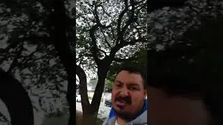 Avenida Edgar Faco