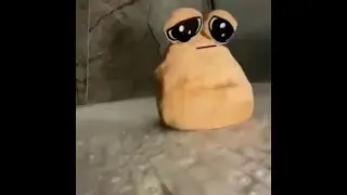30 Select Gifs With Music