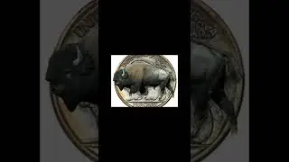$138,000 1916 P Buffalo Nickel DDO #shorts