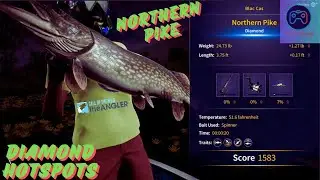 This Pike Came out of nowhere! Northern Pike Diamond Hotspot: Call of The Wild: The Angler COTW