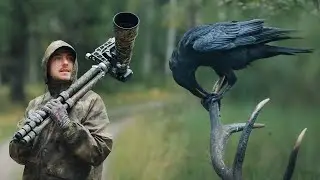 How Nature's Brutality led to my Favorite Photo