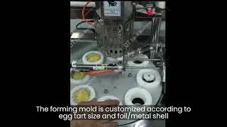 Egg Tart Machine DT303 tart shell maker machine #eggtart #foodmachinery