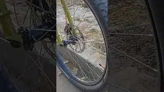 Specialized Purgatory T7 2BlissReady #specialized #purgatory #t7 #tires #шина #трескается #обзор