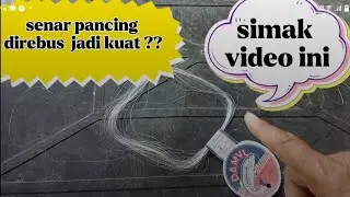SENAR PANCING DIREBUS JADI KUAT?? SIMAK VIDEO INI