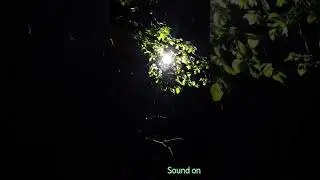 night rain
