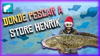 Ubicacion 🗺️ de 