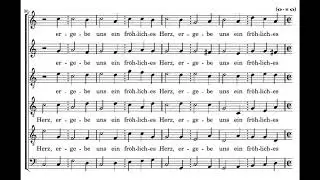 Schein: Nu danket alle Gott - Herreweghe