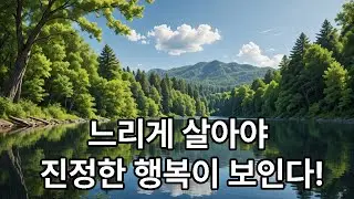 마음을 천천히 들여다보면 감정이 제자리를 찾는다 | 마음이 복잡할 때 꼭 보세요 | 감정이 제자리를 찾는 노자의 지혜 | 시니어 마음치유