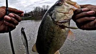 Fishing Indianapolis Area Best Bass Lake‼️ (1st time Ever!!)