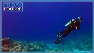 Как стать более самостоятельным дайвером | Пятничный выпуск