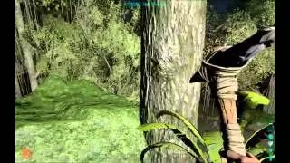 Ark: Survival Evolved.  Character creation, beginning tools and tactics.