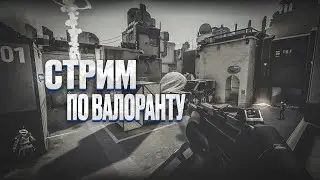СТРИМ ПО ВАЛИКУ | ИГРАЕМ БЕЗ РАНГА | РЕЙТИНГ | БЫСТРЫЕ ИГРЫ|  И НЕ ТОЛЬКО | ИГРАЕМ ВМЕСТЕ | ОБЩАЕМСЯ