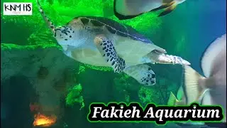 Fakieh Aquarium Jeddah | فقيه أكواريوم جده | Al fakieh aquarium