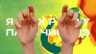 Паль чикамэ
