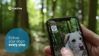 Tractive GPS Dog 4: 24/7 peace of mind for your dog (EN)