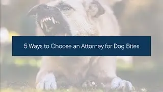 5 Ways to Choose an Attorney for Dog Bites