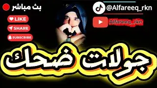 بث ركن المعرفه جولات مع فاررق+نجمة حداد+رشروش+المهراجا| الجمعه ليلاً 13سبتمبر2025🚨🎥