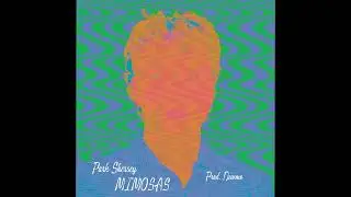 Park Shersey - Mimosas (Prod. Newmo)