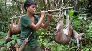 Survival in the wild, wild goat traces, traps to catch, bring wild goats to sell, survival skills