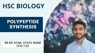 HSC Biology Module 5: Polypeptide Synthesis and Meiosis