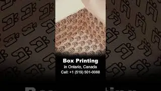 Custom Box Printing & Packaging in Kitchener, ON | 📞 +1 (519) 501-0088
