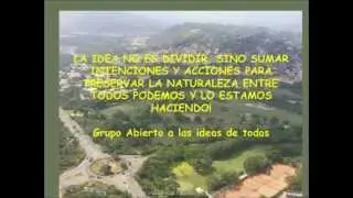 VIDEO PULMONES VERDES