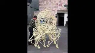 mark pushing Theo Jansen beast.MOV