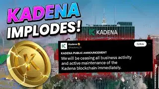 Kadena KDA &mdash; надежные инвесторы и майнеры на миллионы долларов
