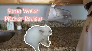 Soma Water Pitcher Review