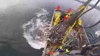 southeast Alaska purse seining F/V Lady Liv 2014