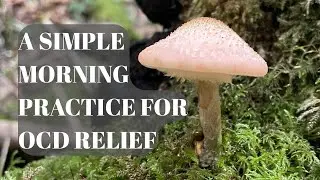 Mushroom Spore Prints for OCD & Morning Anxiety | Mindful Nature Practice 