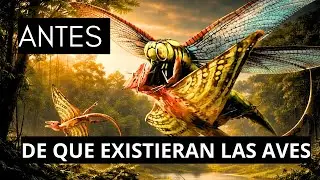 Cuando los insectos gigantes fueron los amos del cielo