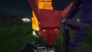 Raid? She died. Wither fight? She watched. Me? Fighting for my life.